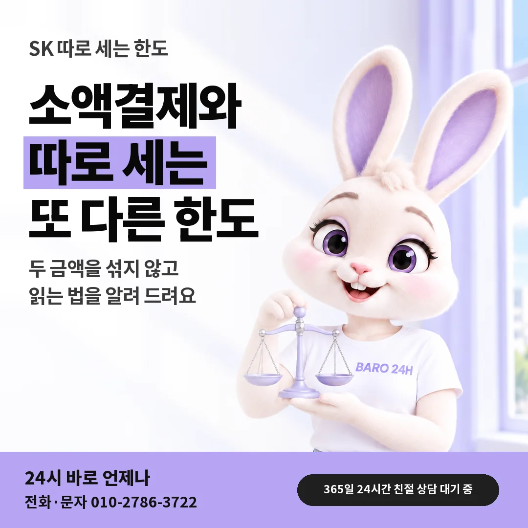 저울을 든 BARO 24H 티셔츠를 입은 3D 토끼 캐릭터 옆에 「SK 소액결제와 따로 세는 한도」 제목을 얹은 안내 카드